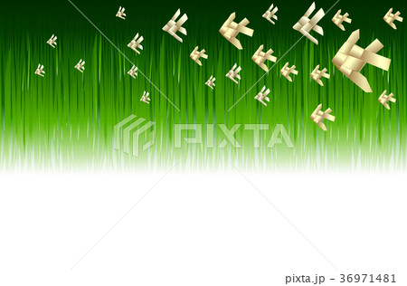 Bright tropical adstrack background with jungle. 36971481