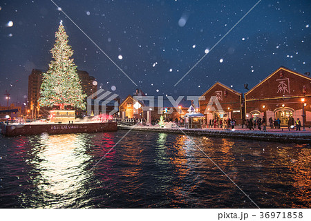 函館クリスマスファンタジー 36971858