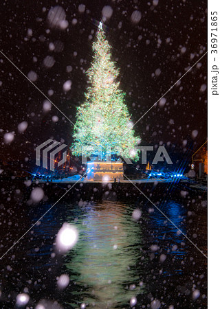 函館クリスマスファンタジー 函館クリスマスファンタジー 36971865