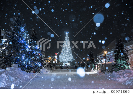 函館クリスマスファンタジー 函館クリスマスファンタジー 36971866