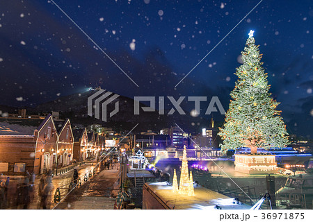 函館クリスマスファンタジー 36971875