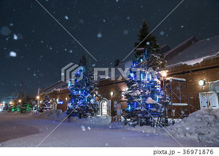 函館クリスマスファンタジー 36971876