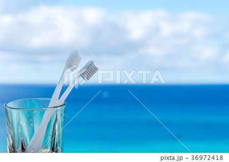 並んだ歯ブラシ 36972418