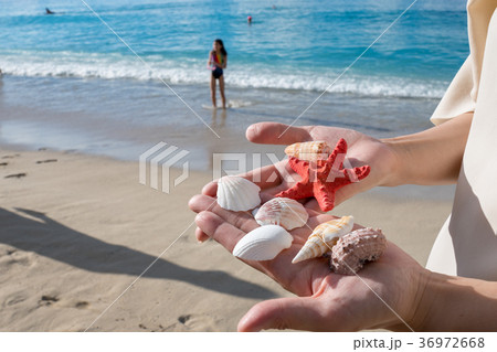 ビーチイメージ 36972668