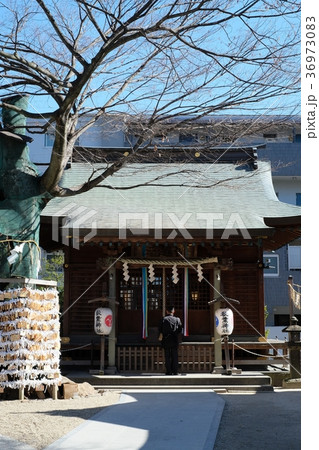 千葉県松戸神社内の秋葉神社 千葉県松戸神社内の秋葉神社 36973083