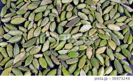 grains of fragrant spices cardamom close-up grains of fragrant spices cardamom close-up 36973249