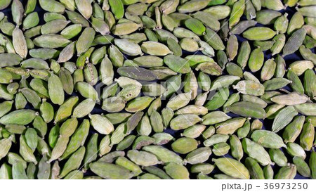 grains of fragrant spices cardamom close-up 36973250