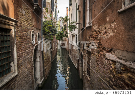 Beautiful architecture of streets and canals of Beautiful architecture of streets and canals of 36973251