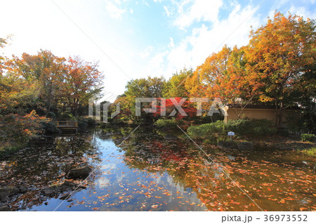足立区立郷土博物館の秋 足立区立郷土博物館の秋 36973552