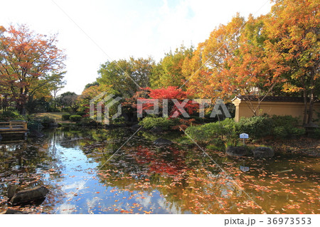 足立区立郷土博物館の秋 足立区立郷土博物館の秋 36973553
