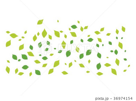 Leaf background icon illustration Leaf background icon illustration 36974154