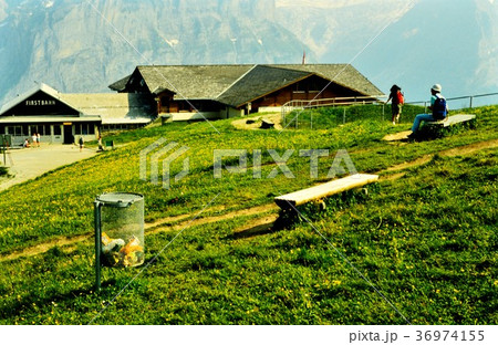 スイスグリンデルヴァルトの風景 スイスグリンデルヴァルトの風景 36974155