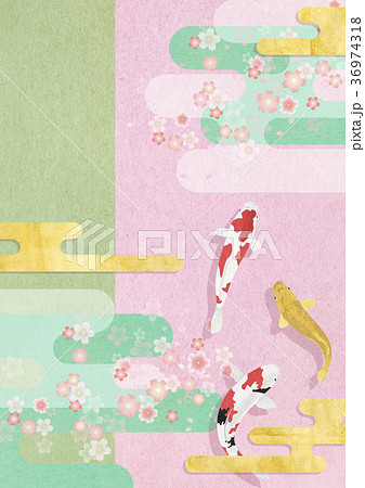 和モダンなイラスト 鯉 桜 雲 のイラスト素材 36974318 Pixta