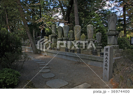 法蔵寺 法蔵寺 36974400