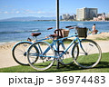 サイクリング 36974483