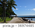 海岸通り 36974485
