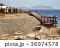 Beach by the sea with sun loungers and pier 36974578