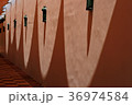 Shadows on the wall of an oval shape 36974584