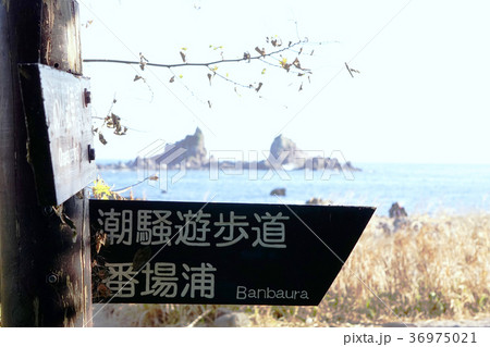 潮騒遊歩道番場浦　標識 36975021
