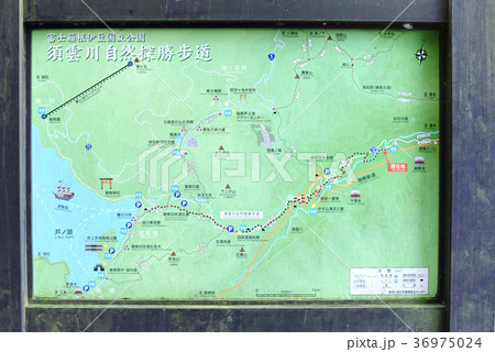 須雲川自然探勝歩道 案内図 須雲川自然探勝歩道 案内図 36975024