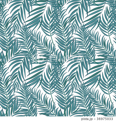 Beautifil Palm Tree Leaf  Silhouette Seamles 36975033