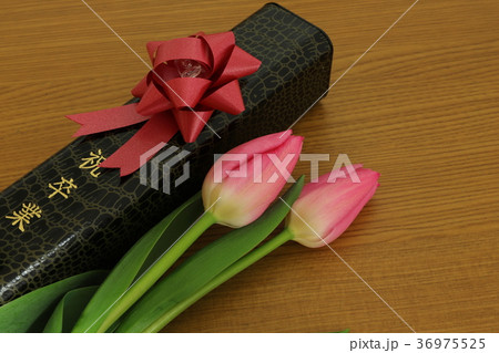 卒業イメージ 36975525