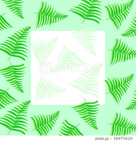 Frame for text or photo with green tropical leaves 36975620