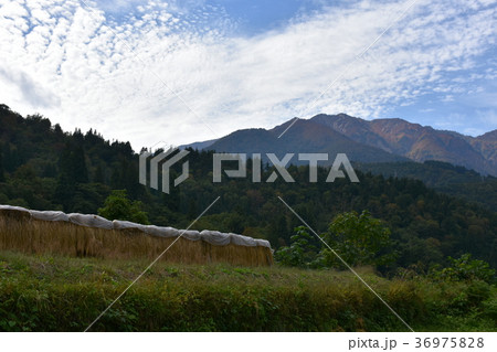白川郷の田園からの白山 白川郷の田園からの白山 36975828