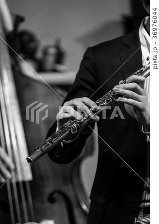 ジャズライブ フルート ジャズライブ フルート 36976044