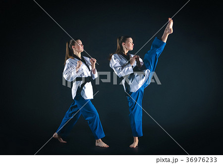 The karate girl with black belt The karate girl with black belt 36976233