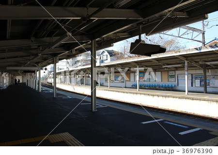柴又駅 プラットホーム　葛飾　東京都 36976390