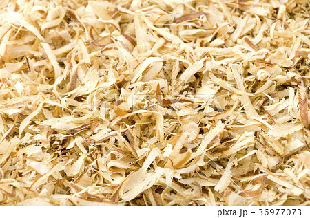 イリコ削り イリコ削り 36977073