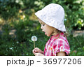 Little girl in a hat blowing a dandelion 36977206