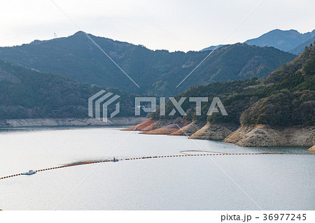 早明浦ダム湖 36977245
