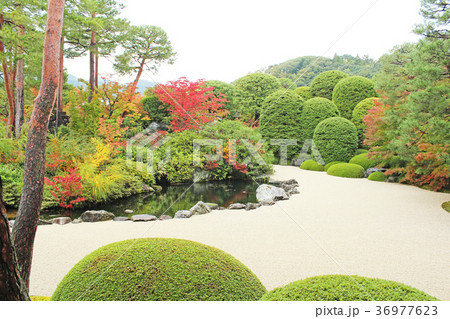 庭園　枯山水 36977623