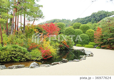 庭園 枯山水 庭園 枯山水 36977624