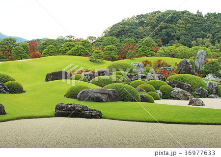 庭園 枯山水 庭園 枯山水 36977633