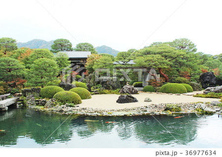 庭園　枯山水 36977634