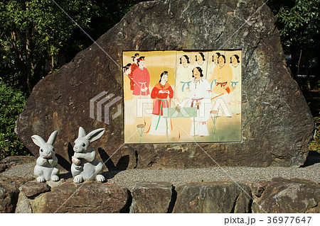 出雲大社　因幡の白ウサギ 36977647