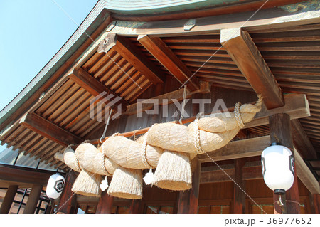 出雲大社 拝殿 しめ縄 出雲大社 拝殿 しめ縄 36977652