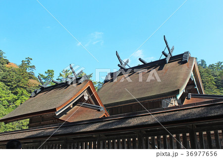 出雲大社 本殿 出雲大社 本殿 36977656