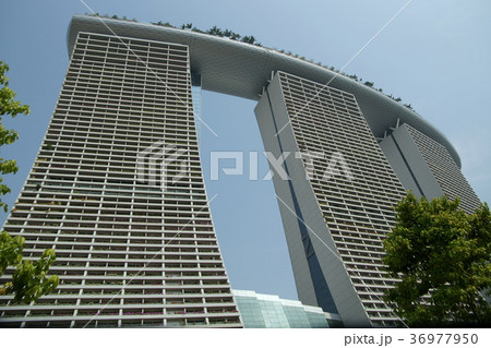 マリーナベイサンズ　シンガポール 36977950