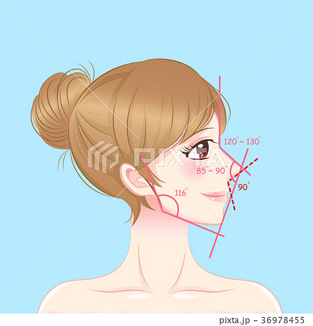 woman with perfect face proportions woman with perfect face proportions 36978455
