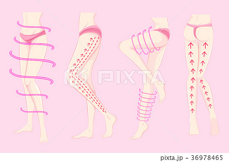 woman with body plastic surgery - Stock Illustration [49589447] - PIXTA