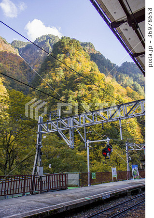 紅葉の山の駅 紅葉の山の駅 36978658
