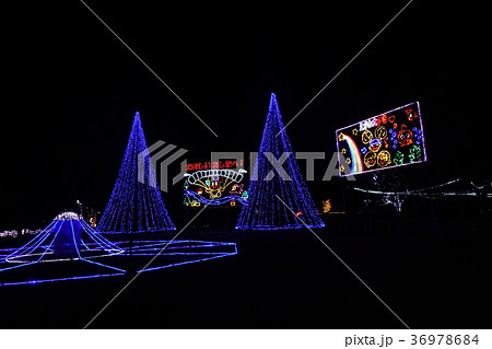 尾島庁舎前イルミネーション 尾島庁舎前イルミネーション 36978684