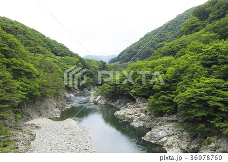 緑豊かな渓流 36978760