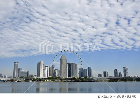 シンガポールフライヤーとビル群 36979240