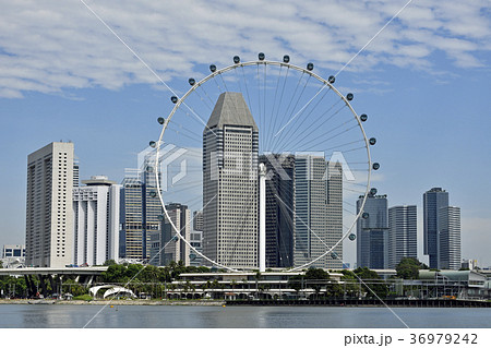 シンガポールフライヤーとビル群 36979242