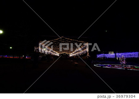 尾島庁舎前イルミネーション 36979304